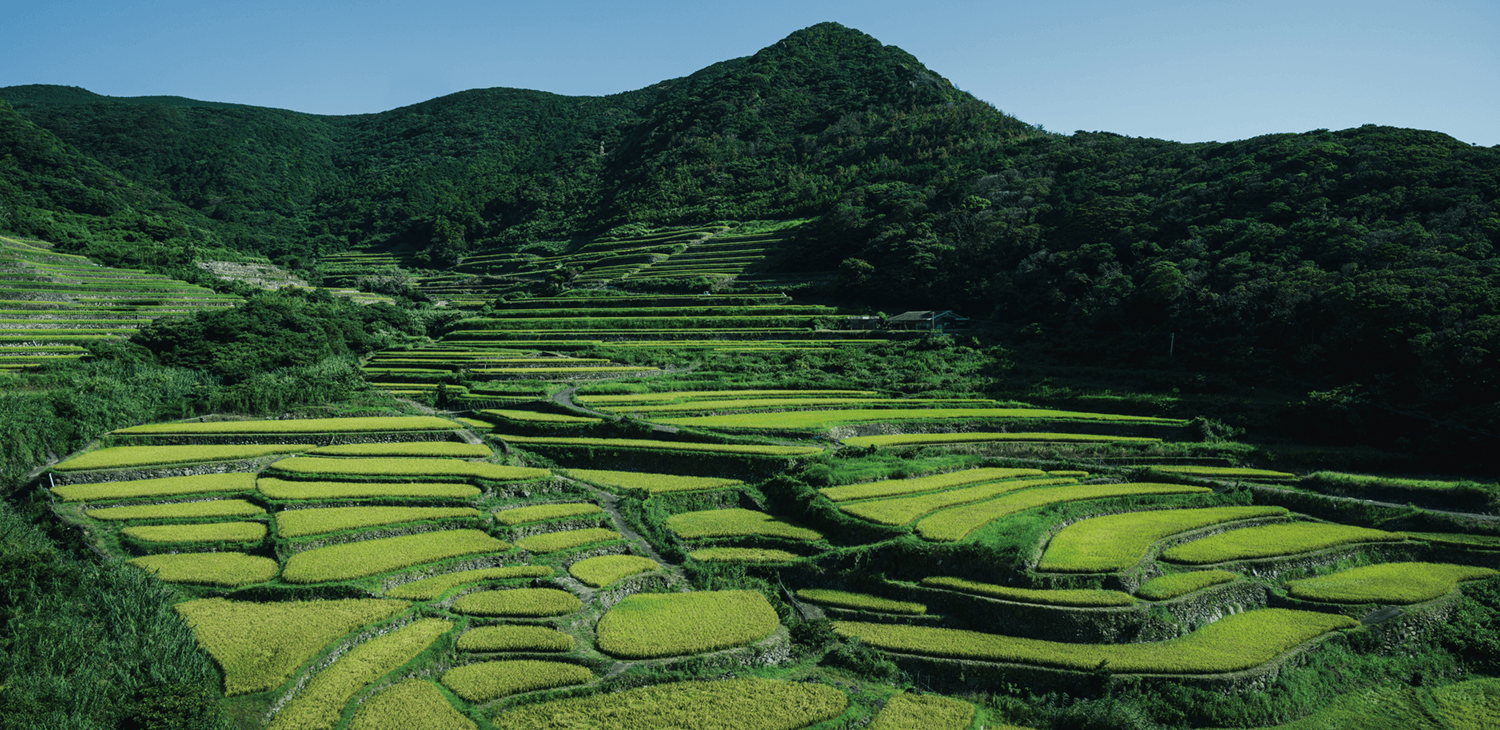 春日集落と安満岳