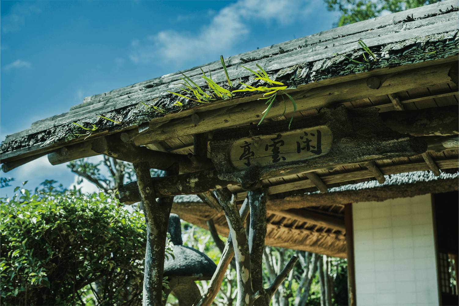 フォトギャラリー2