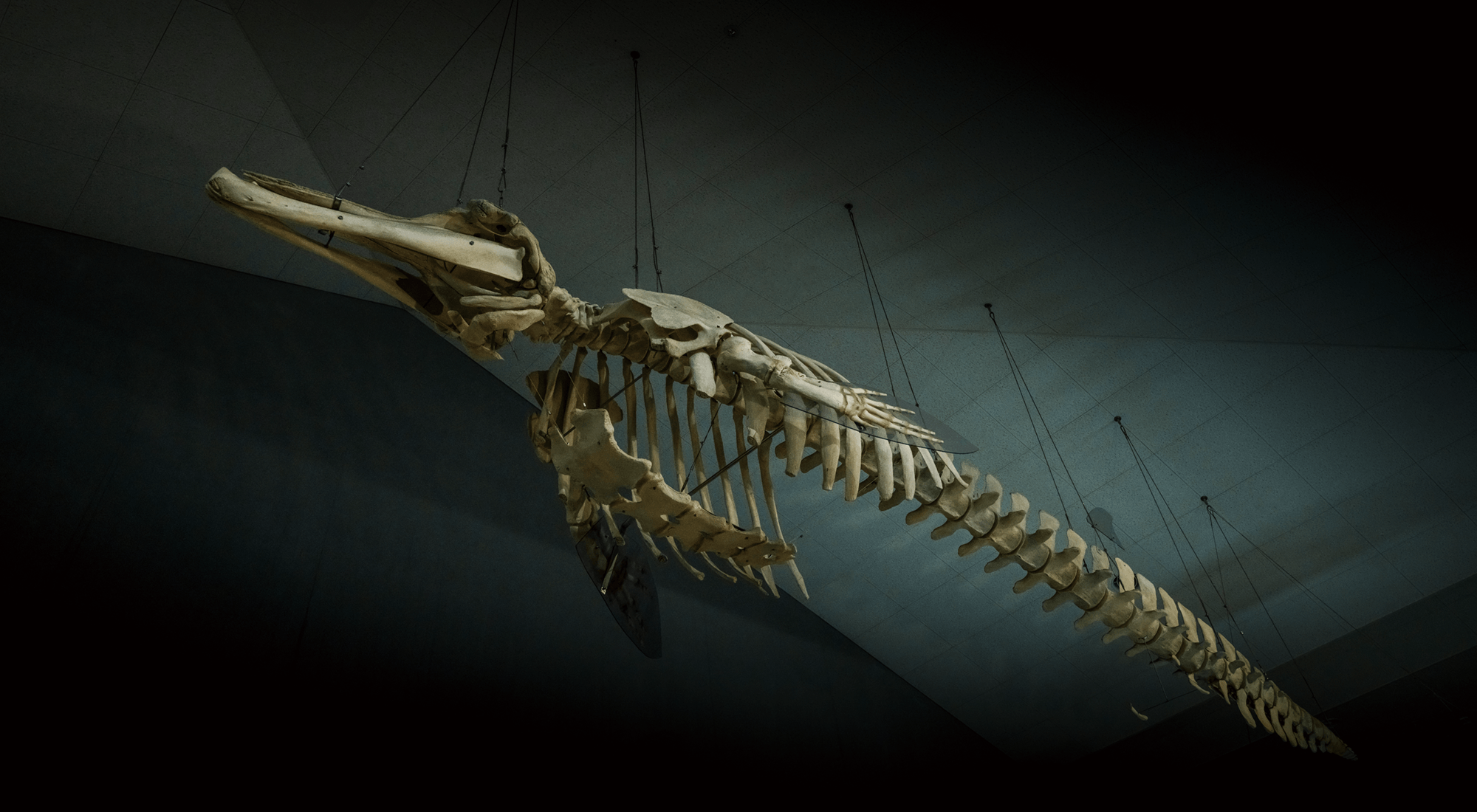 平戸市生月町博物館・島の館