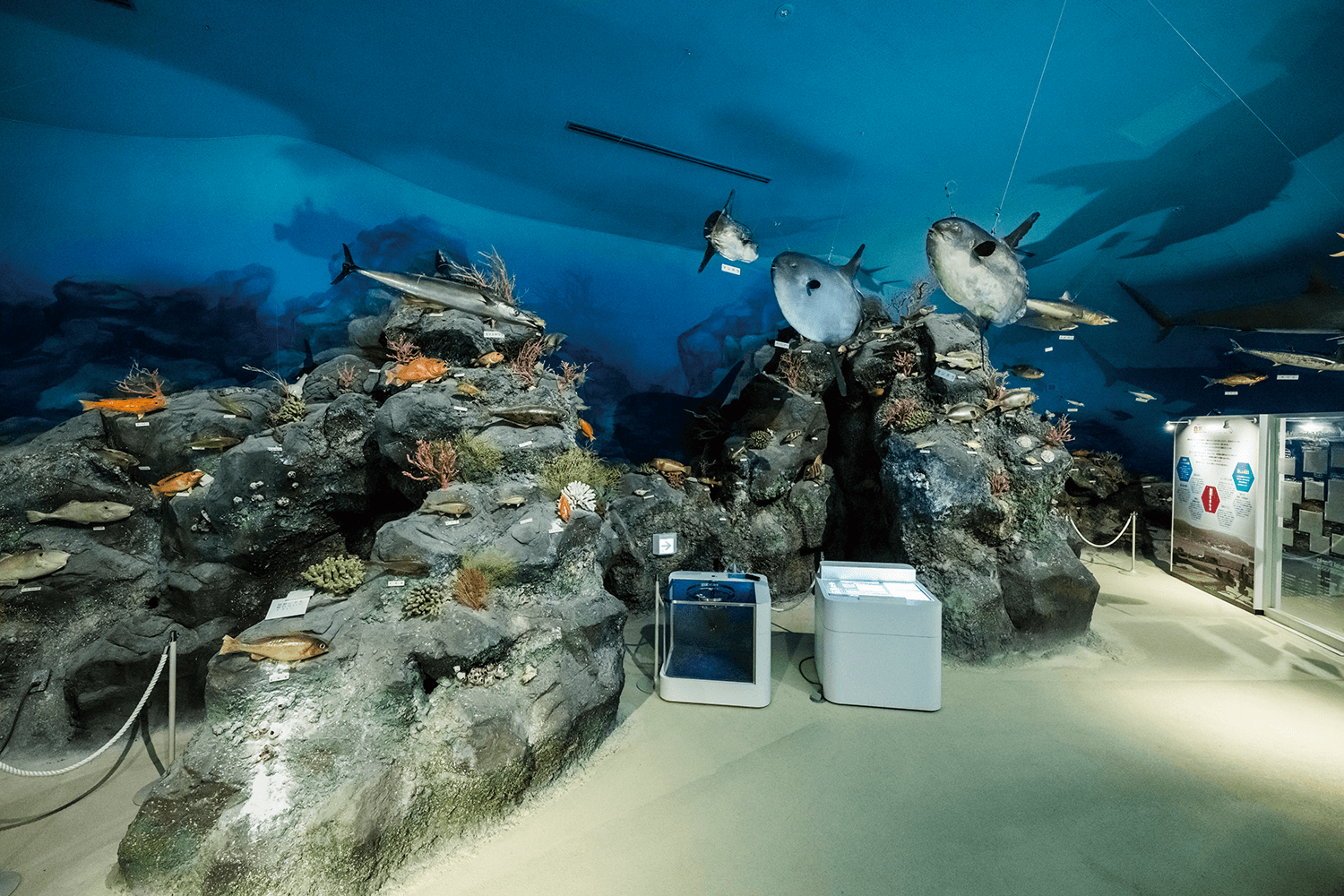 フォトギャラリー4