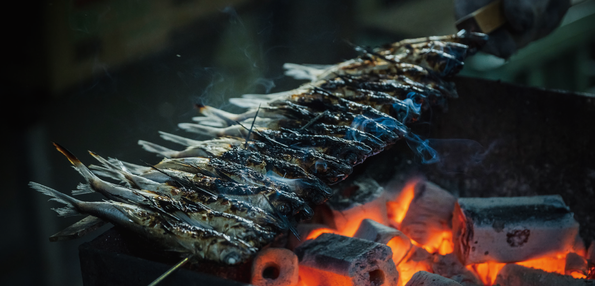 北風が吹いたら季節到来 平戸のアゴ漁