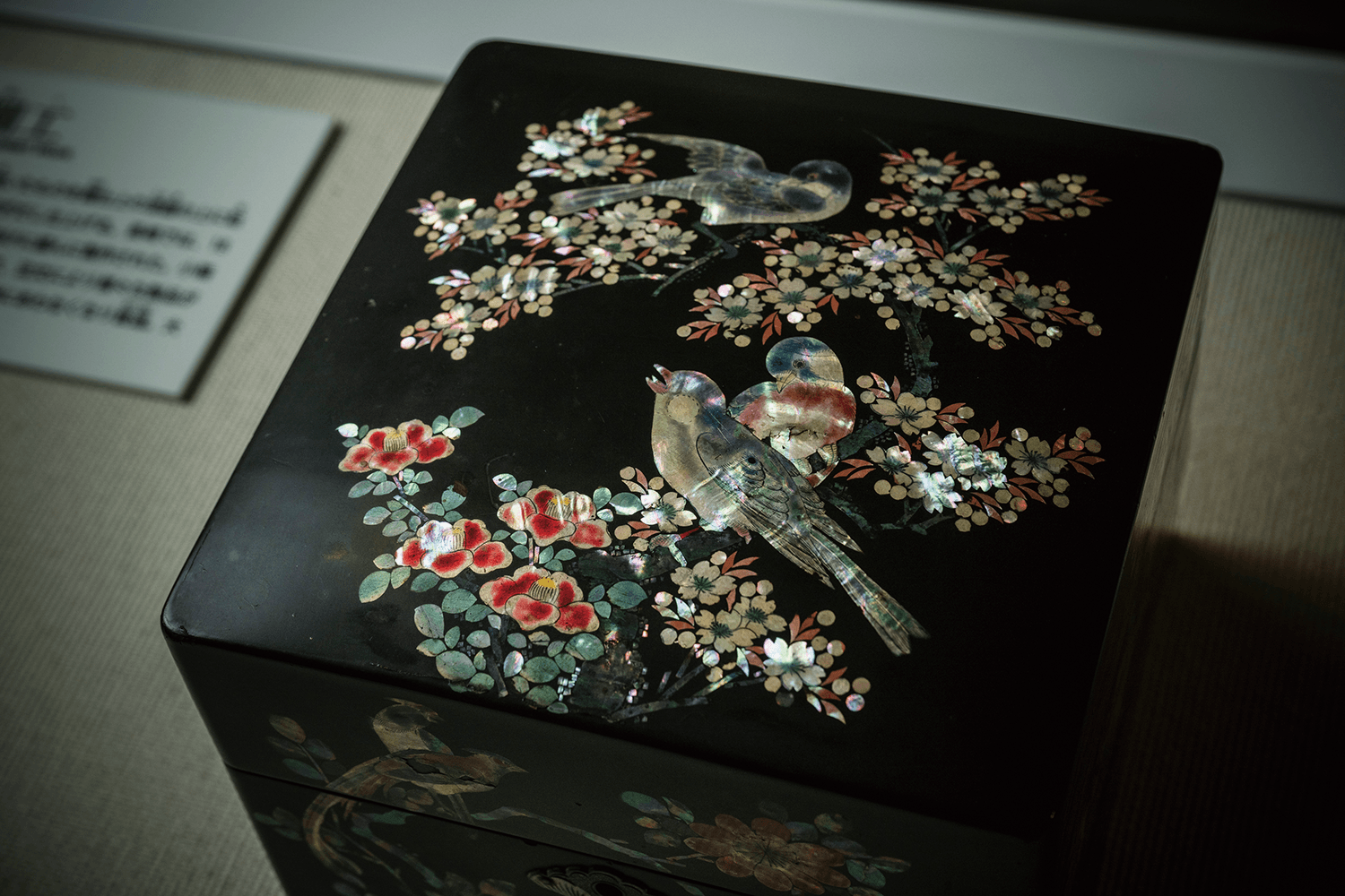 フォトギャラリー6