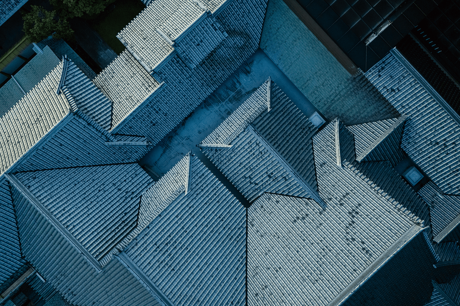 フォトギャラリー8