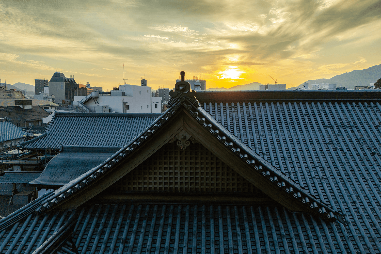 フォトギャラリー9