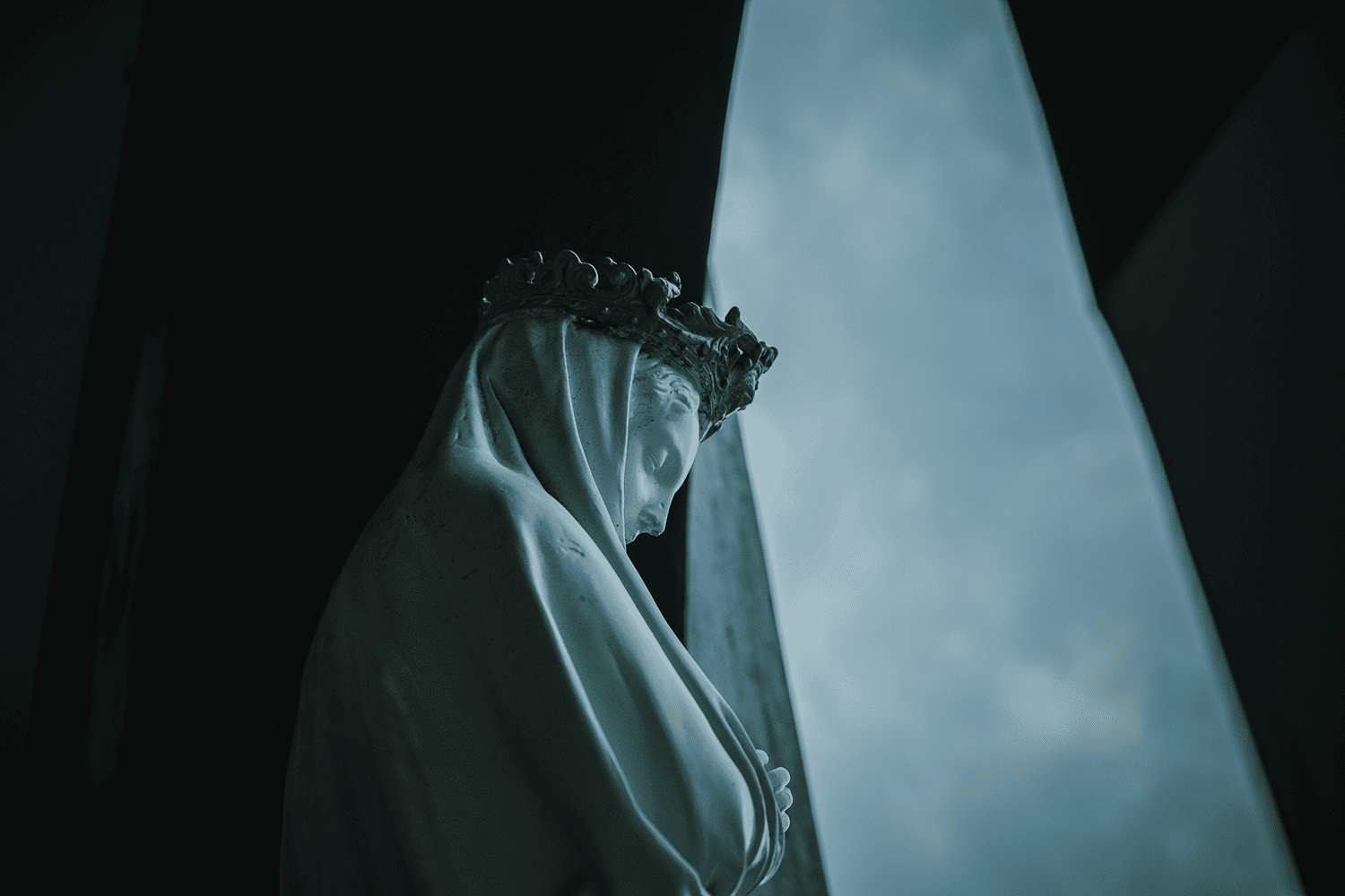 フォトギャラリー2