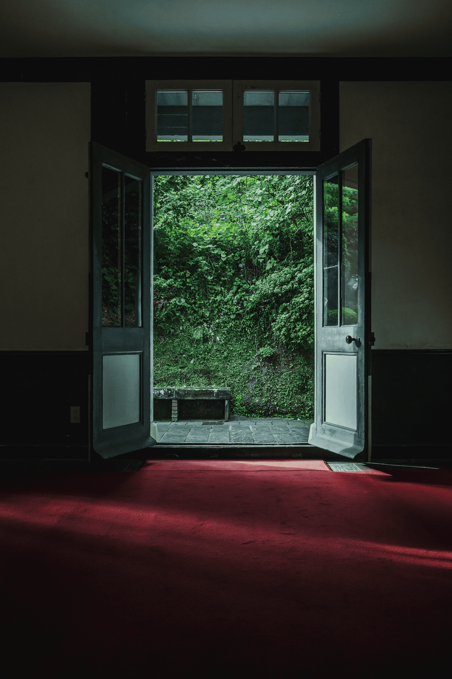 フォトギャラリー8