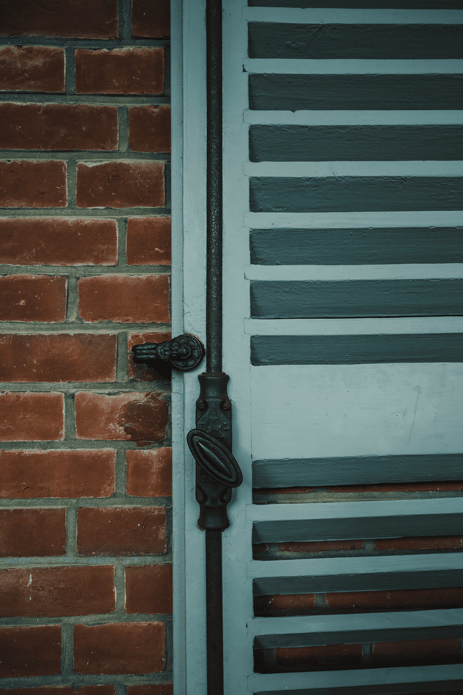 フォトギャラリー10