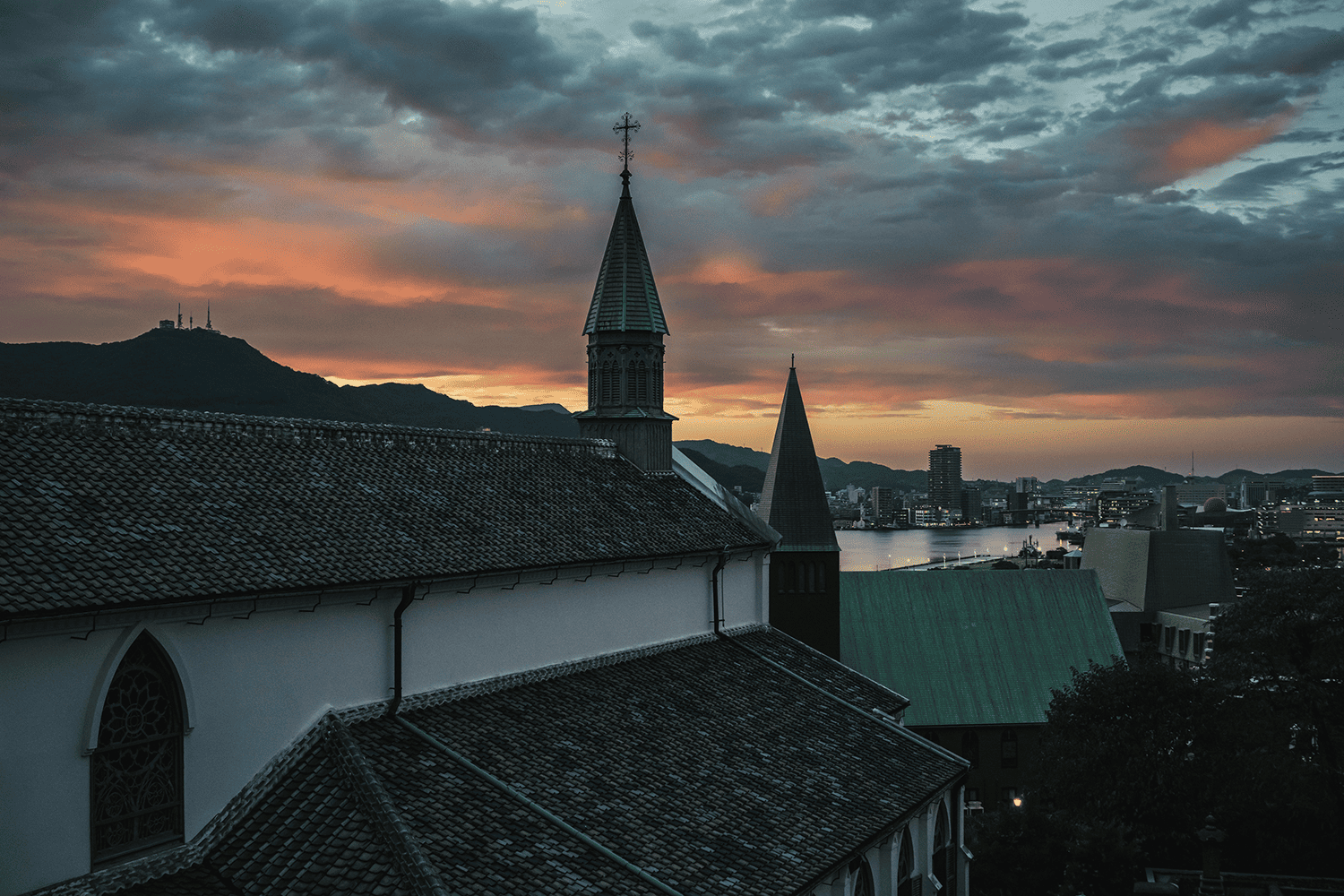 フォトギャラリー11