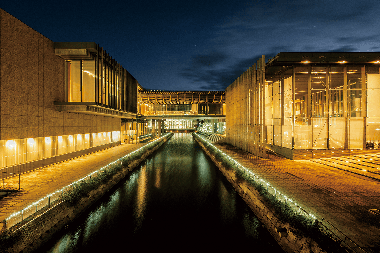 フォトギャラリー2