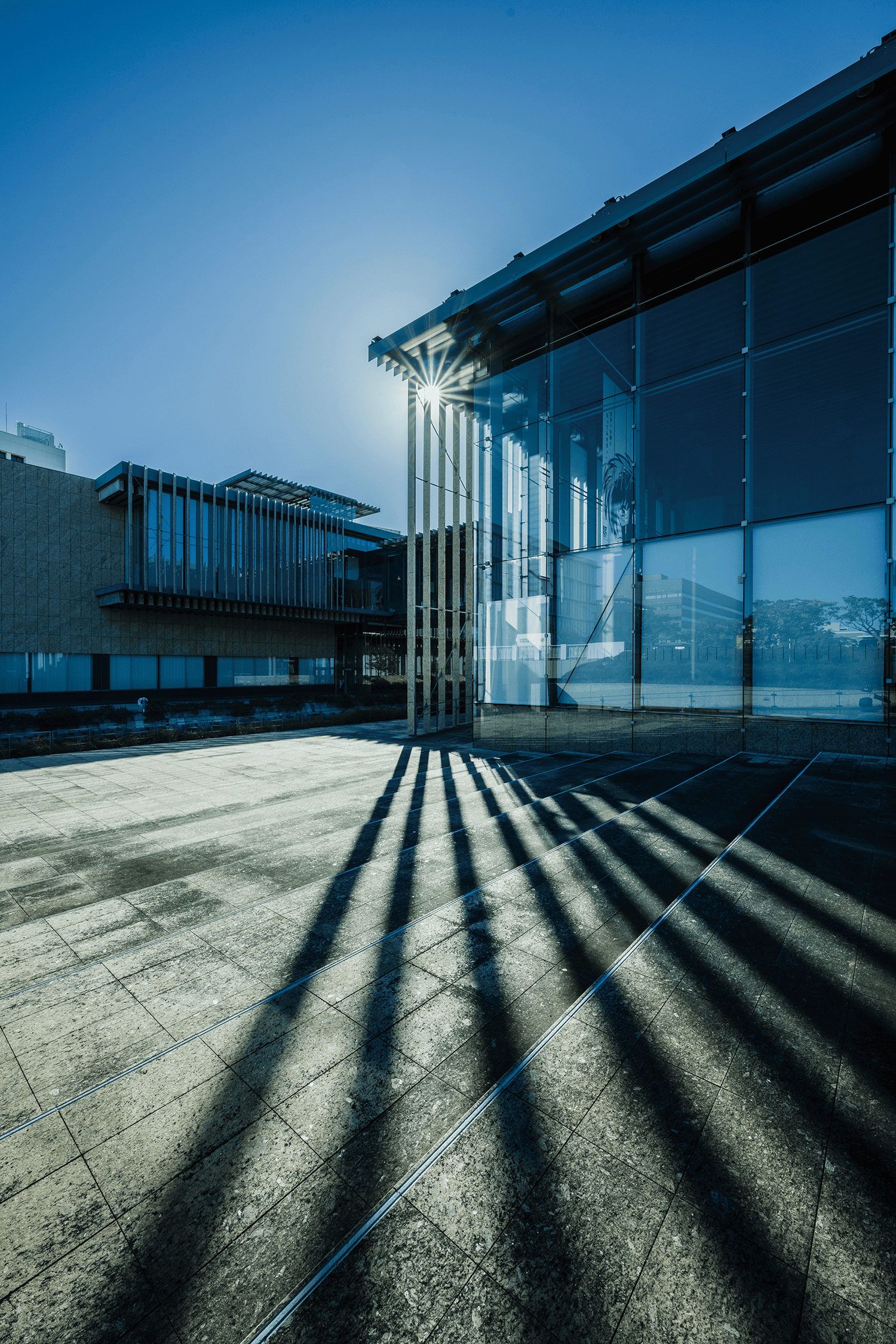 フォトギャラリー6