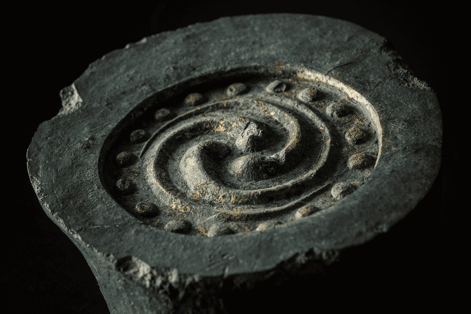 フォトギャラリー1