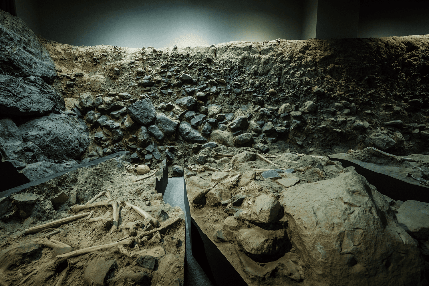 フォトギャラリー9