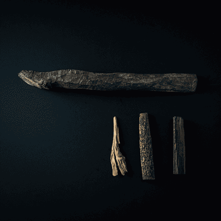 バスチャンの椿